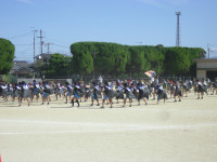 CIMG5998