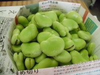 CIMG6982