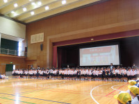 １年