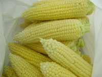 CIMG5002