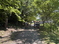 IMG_0281